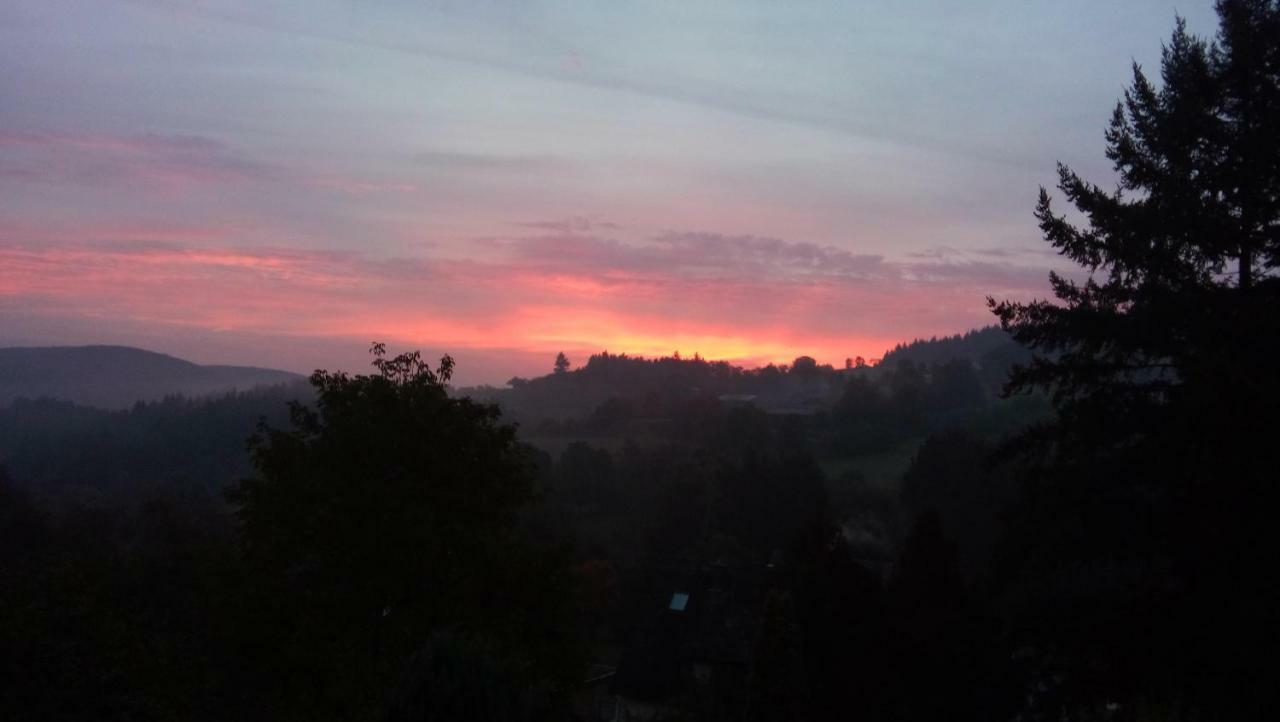 Ferienwohnung Brillant Am Nationalpark Hunsrueck-Hochwald Hettenrodt المظهر الخارجي الصورة